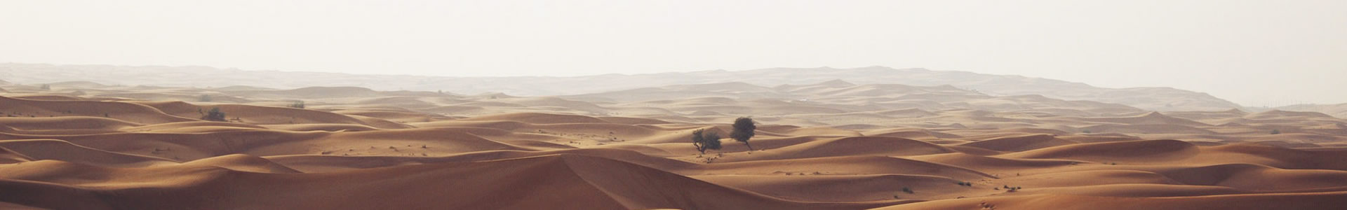 ˹ؿ޹˾
